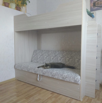 Кровать двухъярусная с диваном (Беленый дуб) в Дубинино - dubinino.mebel54.com | фото