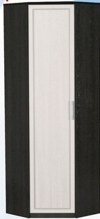 Шкаф для одежды угловой ДЛЯ ГОСТИНОЙ ШОУ-695 Венге/Дуб выбеленный в Дубинино - dubinino.mebel54.com | фото